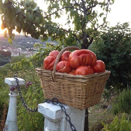 Il Borgo Delle Grazie Βίλα Ovada Εξωτερικό φωτογραφία