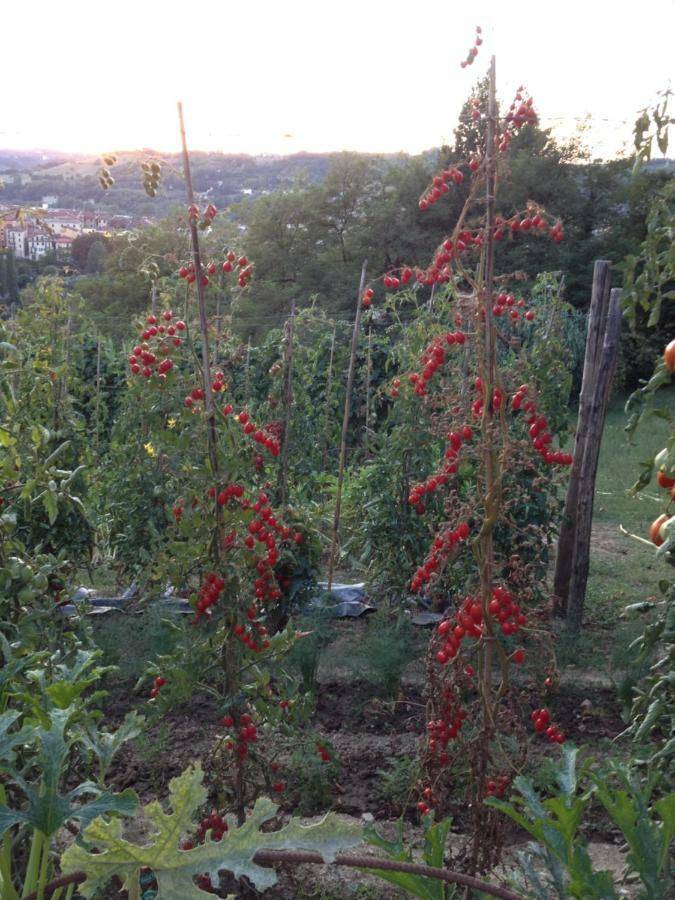 Il Borgo Delle Grazie Βίλα Ovada Εξωτερικό φωτογραφία