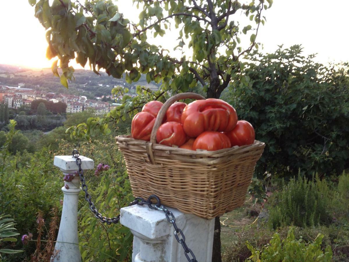 Il Borgo Delle Grazie Βίλα Ovada Εξωτερικό φωτογραφία